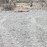 Review photo of Kofa National Wildlife Refuge - Crystal Hill Free Campsites by Greg L., November 8, 2024