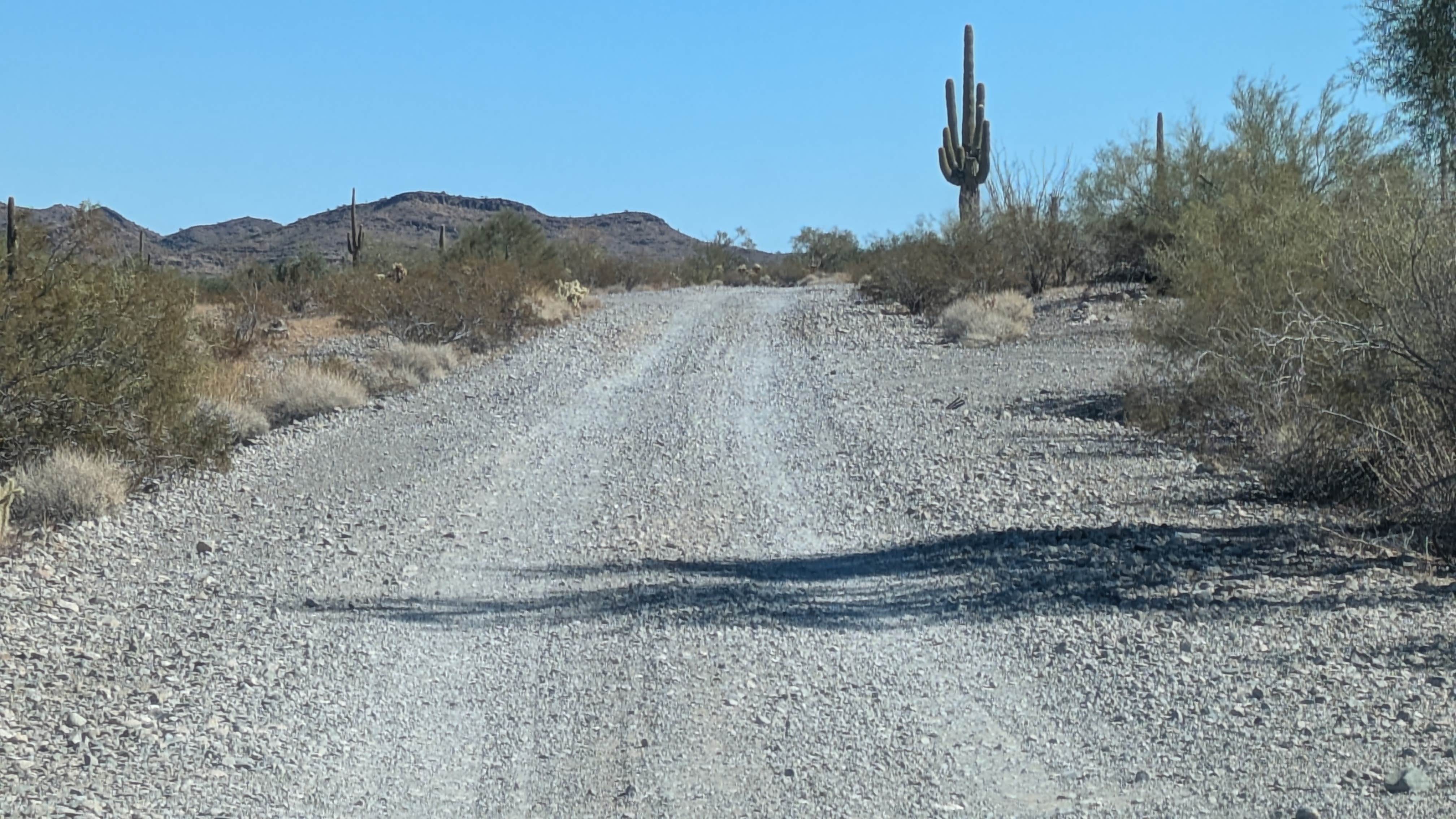 Camper submitted image from Kofa National Wildlife Refuge - Crystal Hill Free Campsites - 4