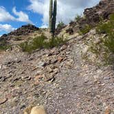 Review photo of Kofa National Wildlife Refuge - Crystal Hill Free Campsites by Imerie T., November 24, 2025