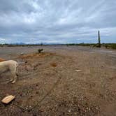 Review photo of Kofa National Wildlife Refuge - Crystal Hill Free Campsites by Imerie T., November 24, 2025