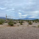 Review photo of Kofa National Wildlife Refuge - Crystal Hill Free Campsites by Imerie T., November 24, 2025