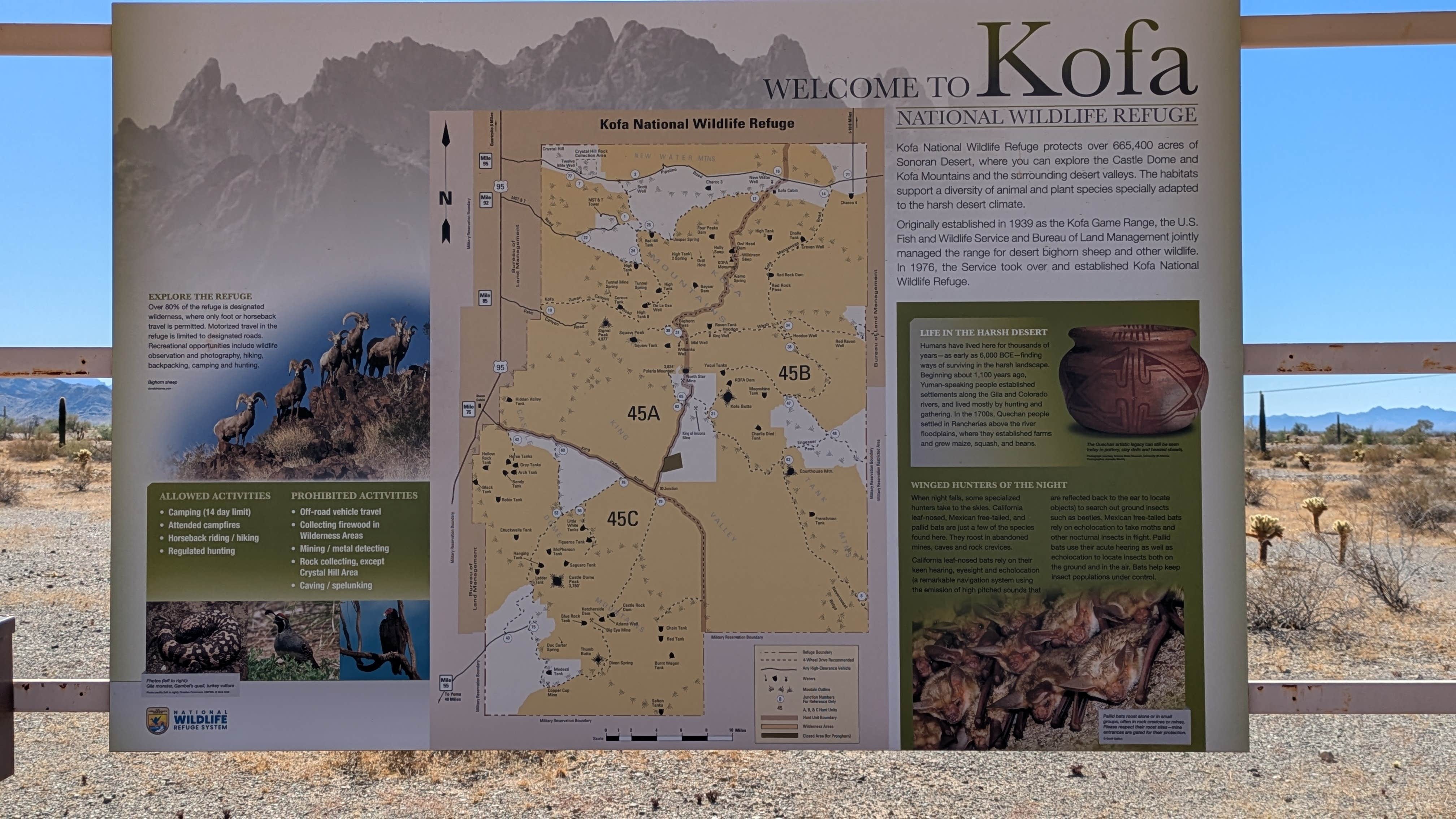 Camper submitted image from Kofa National Wildlife Refuge - Crystal Hill Free Campsites - 5