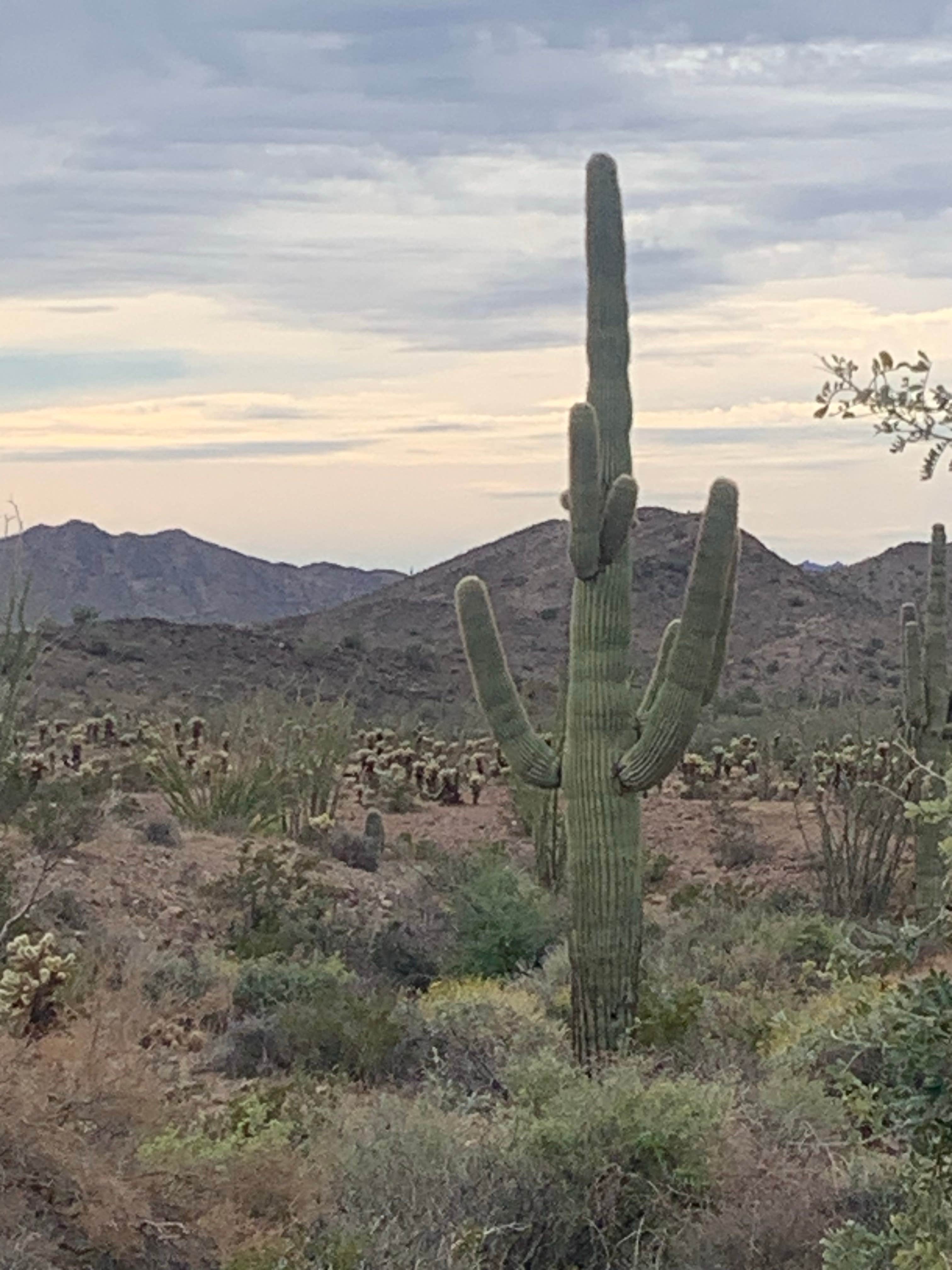 Camper-submitted photo at Crystal Hill near Dateland, AZ