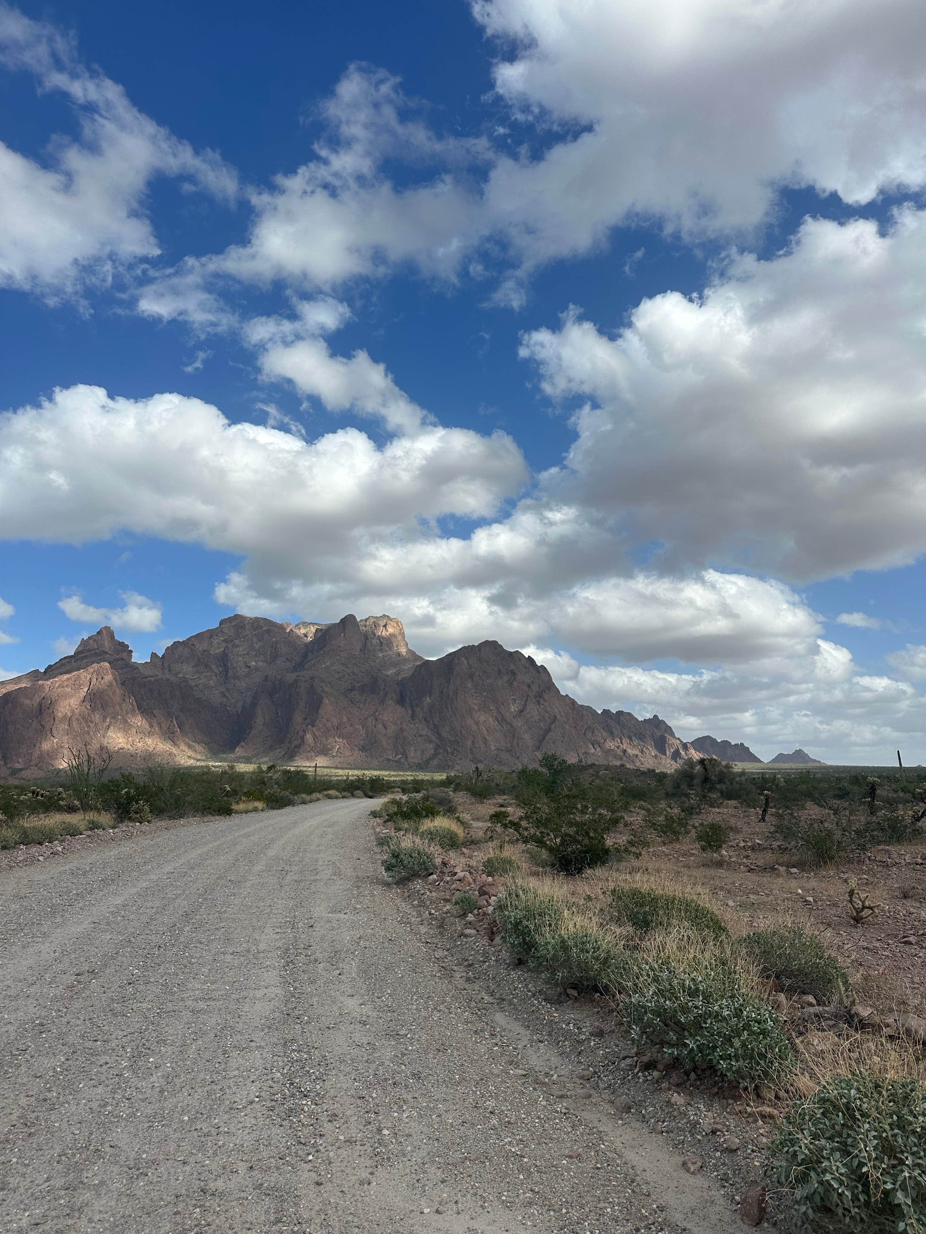 Alisa P.'s photo of a dispersed camping area at Crystal Hill near Dateland, AZ