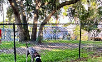 L&A C.'s photo of camping with pets at Encore Crystal Isles near Holder, FL