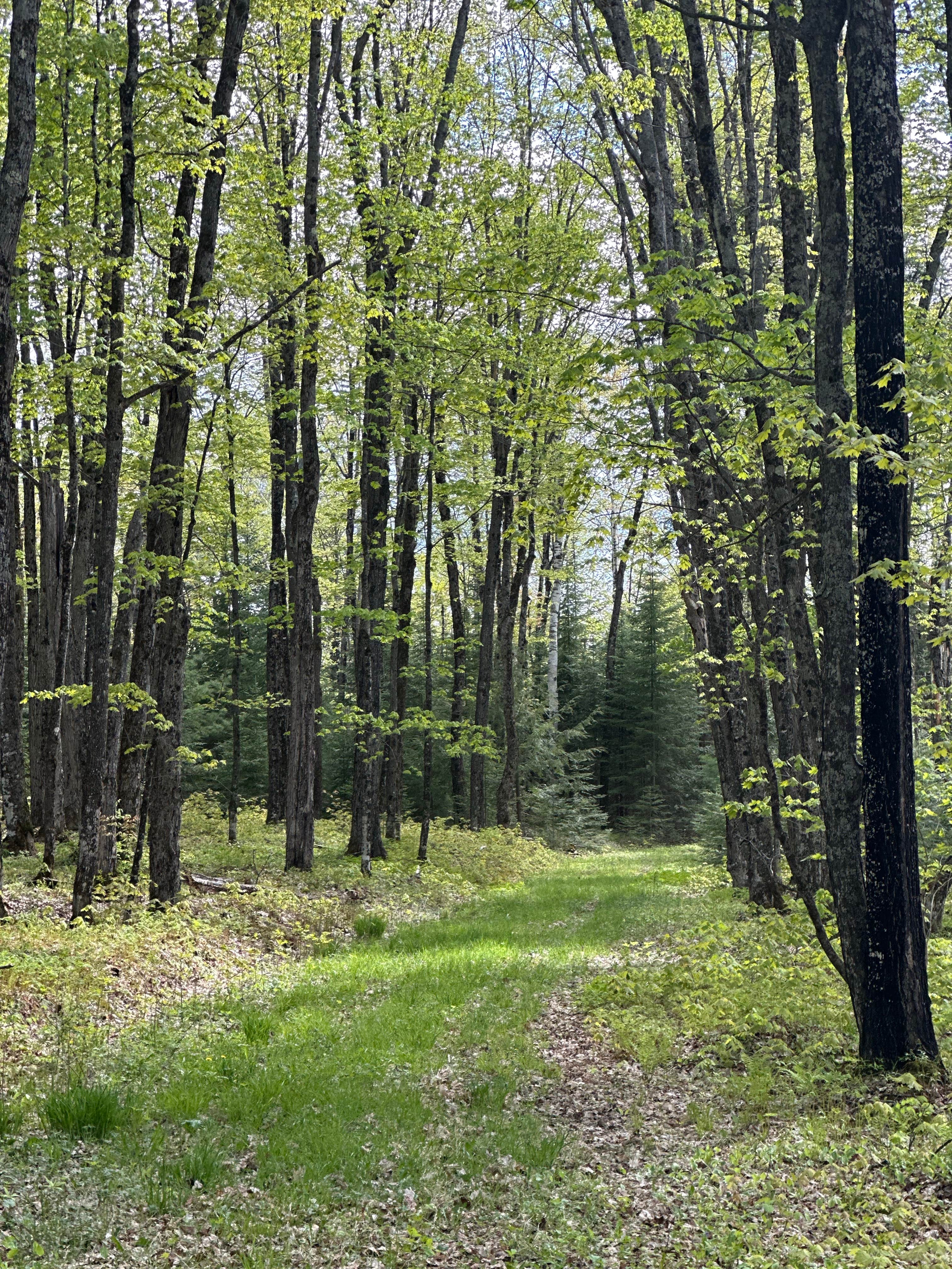 Camper-submitted photo at Crystal Lake Campground near Oregon, WI
