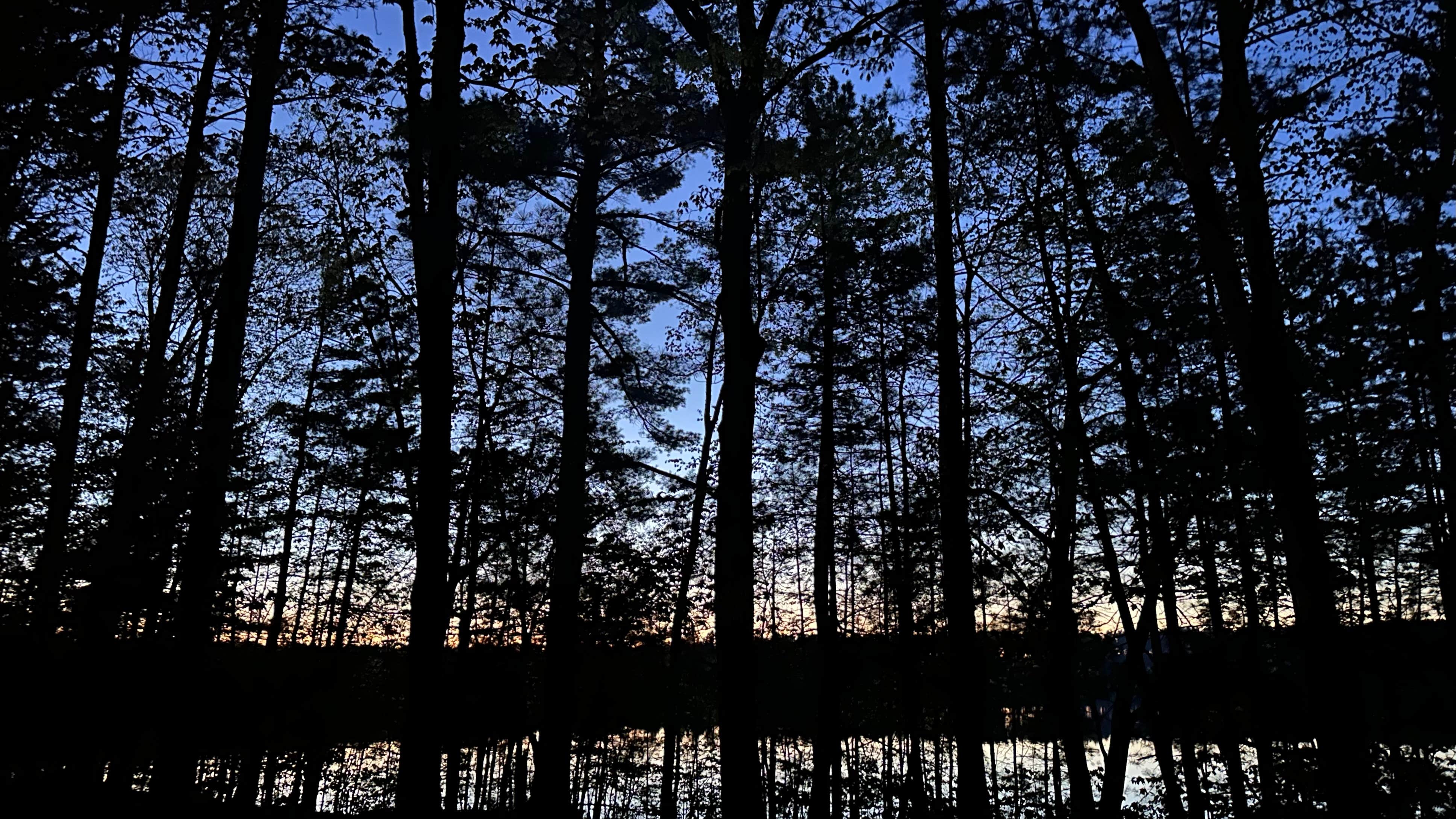 Camper-submitted photo at Crystal Lake Campground near Windsor, WI