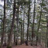 Review photo of Crystal Lake Campground by Abby W., July 20, 2025