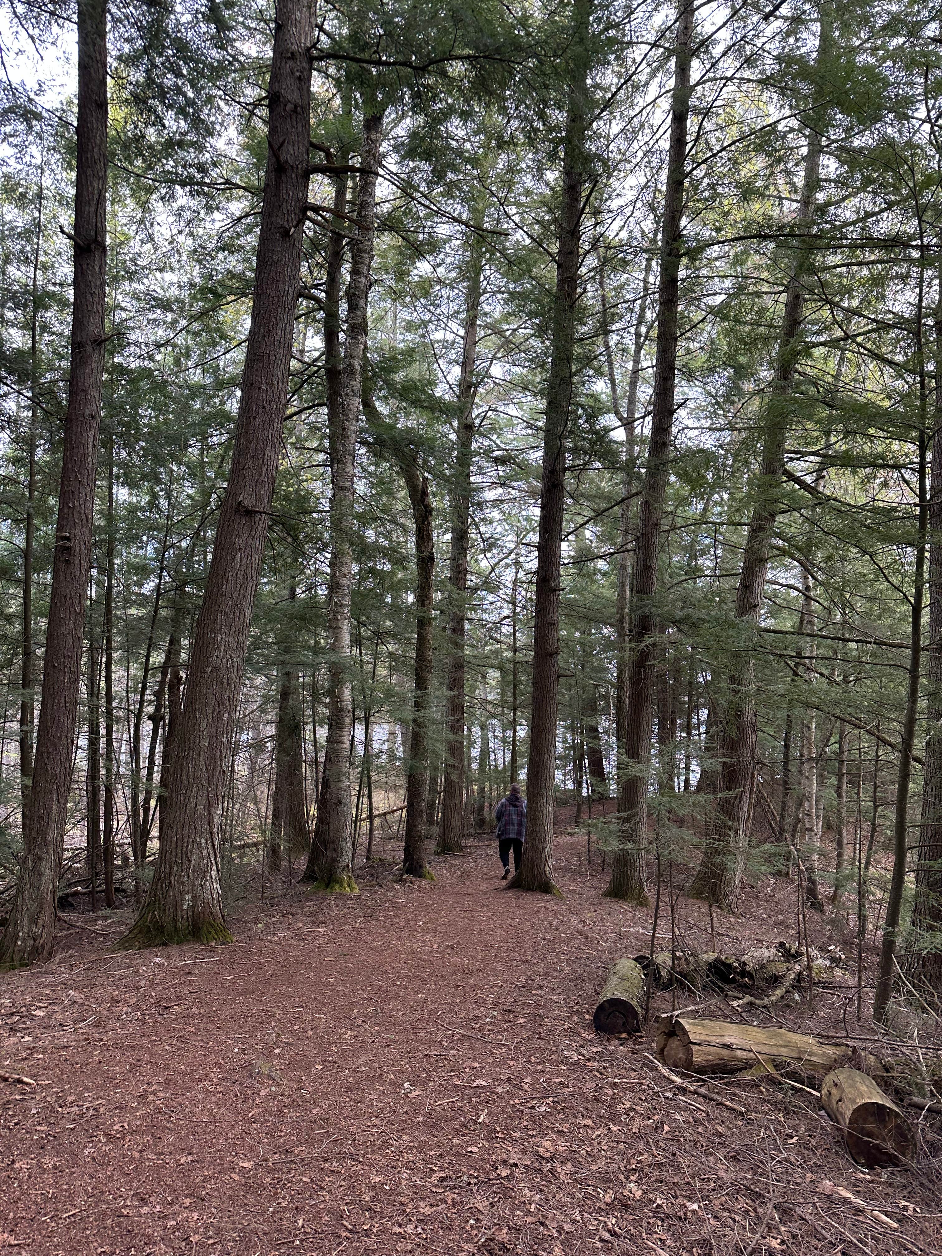 Camper submitted image from Crystal Lake Campground - 2