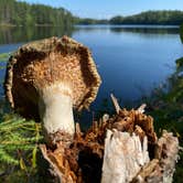 Review photo of Crystal Lake Campground — Northern Highland State Forest by Laura L., January 7, 2024