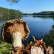 Crystal Lake Campground — Northern Highland State Forest