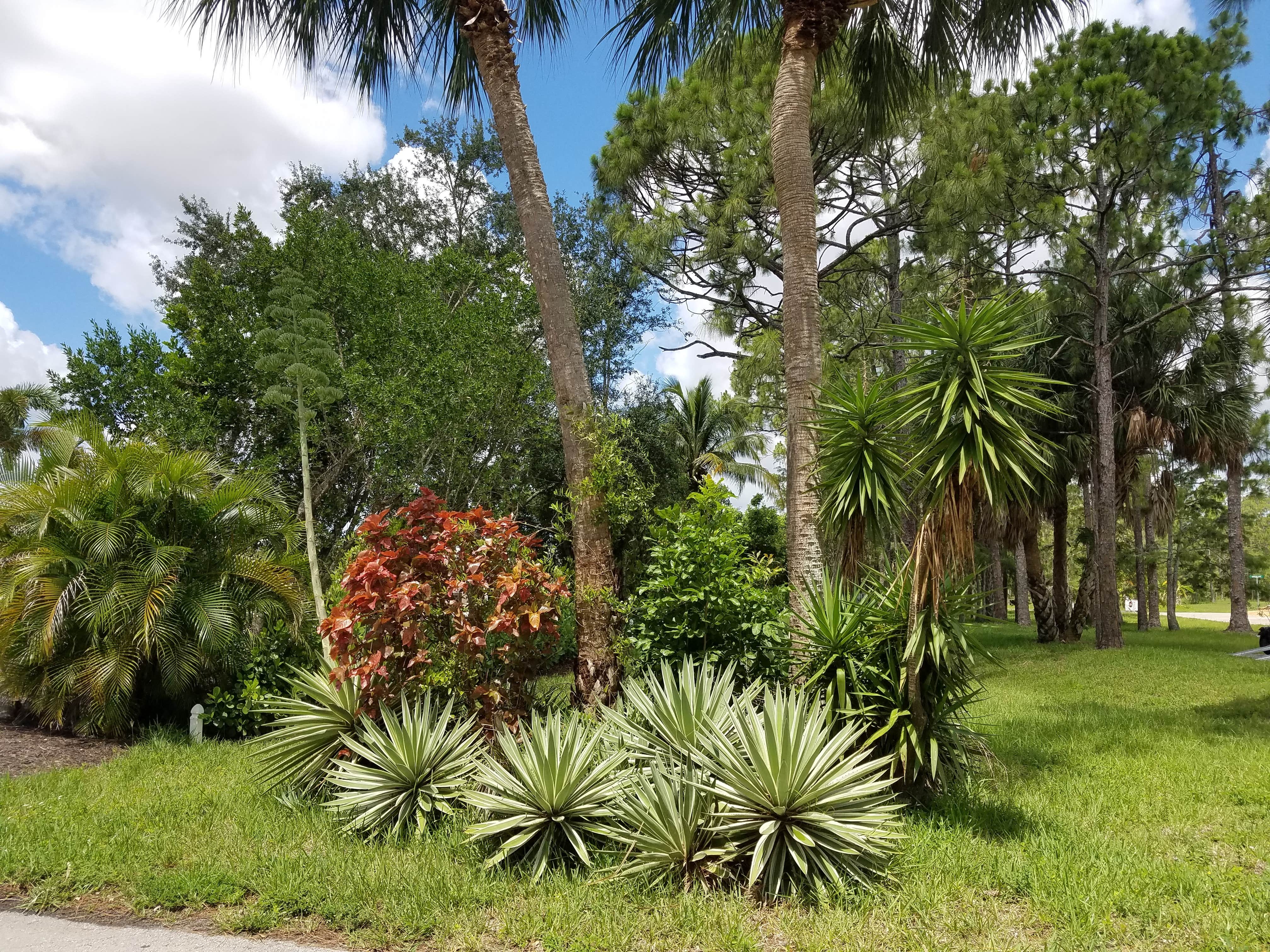 Camper-submitted photo at Crystal Lake RV Resort near Lehigh Acres, FL