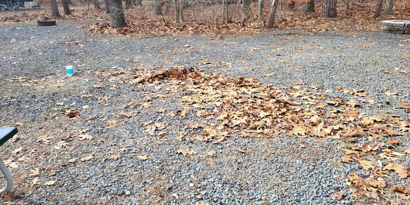 Camper submitted image from Crystal Springs Lodges & RV Resort