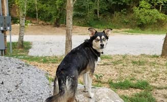 Joe M.'s photo of camping with pets at Crystal Springs RV Resort near Webb City, MO