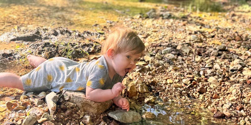 Camper submitted image from Crystal Springs RV Resort