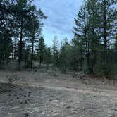 Review photo of Cuba Hwy Pulloff on Forest Road 88 by Maxfield J., June 16, 2026