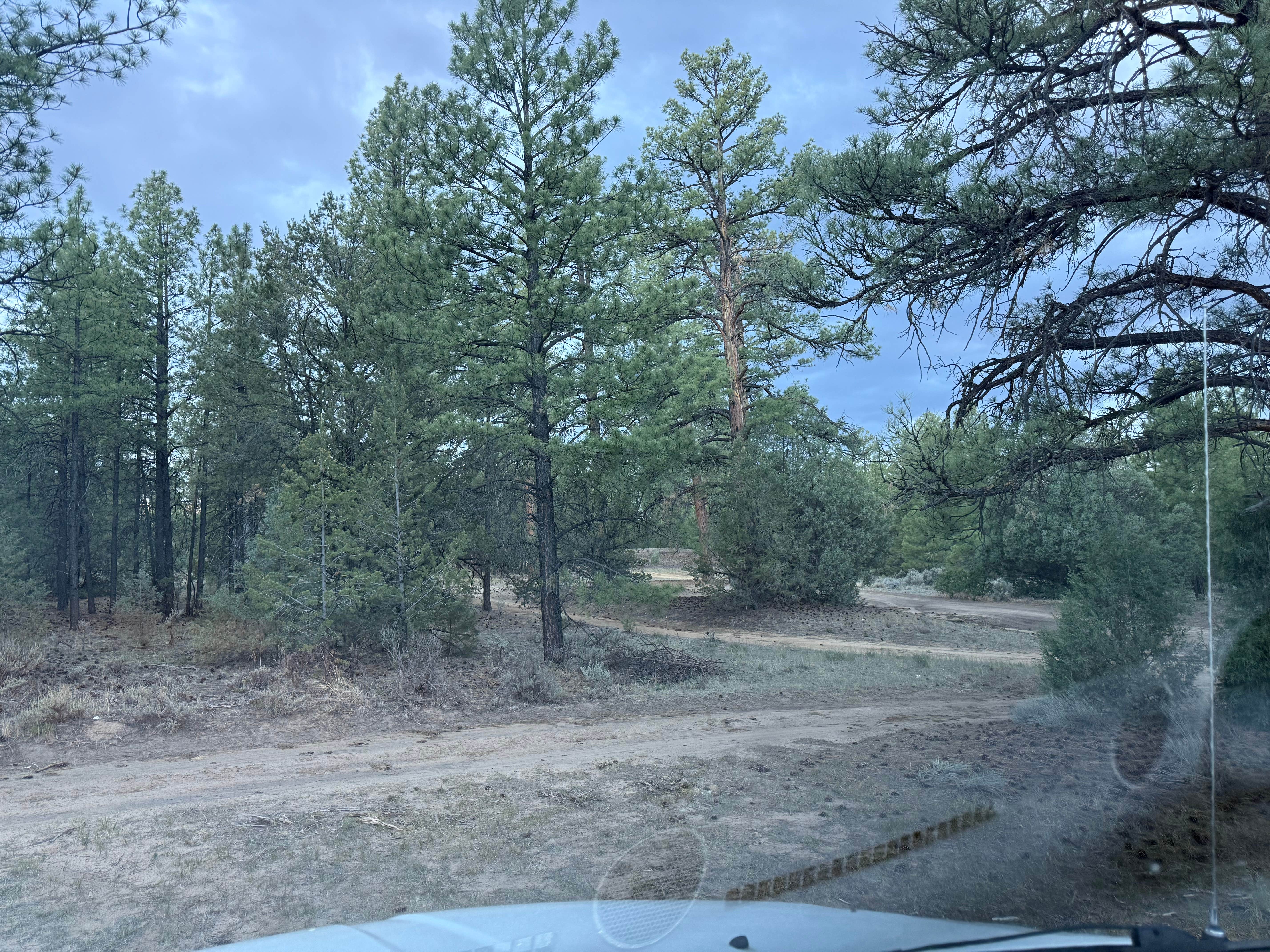 Camper-submitted photo at Cuba Hwy Pulloff on Forest Road 88 near Jemez Springs, NM