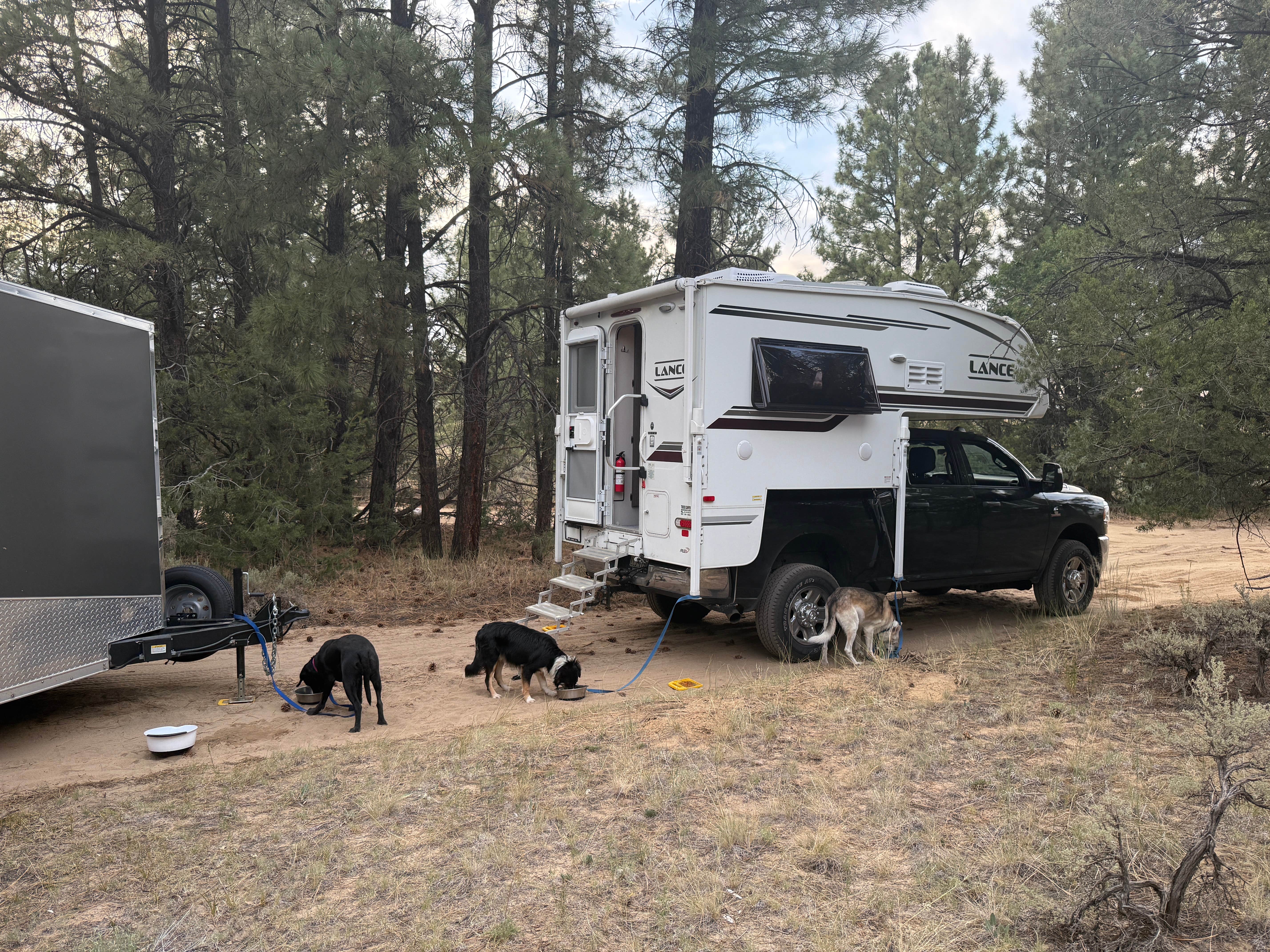Camper-submitted photo at Cuba Hwy Pulloff on Forest Road 88 near Abiquiu Lake
