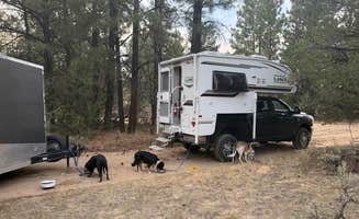 Samantha L.'s photo of camping with pets at Cuba Hwy Pulloff on Forest Road 88 near Nageezi, NM