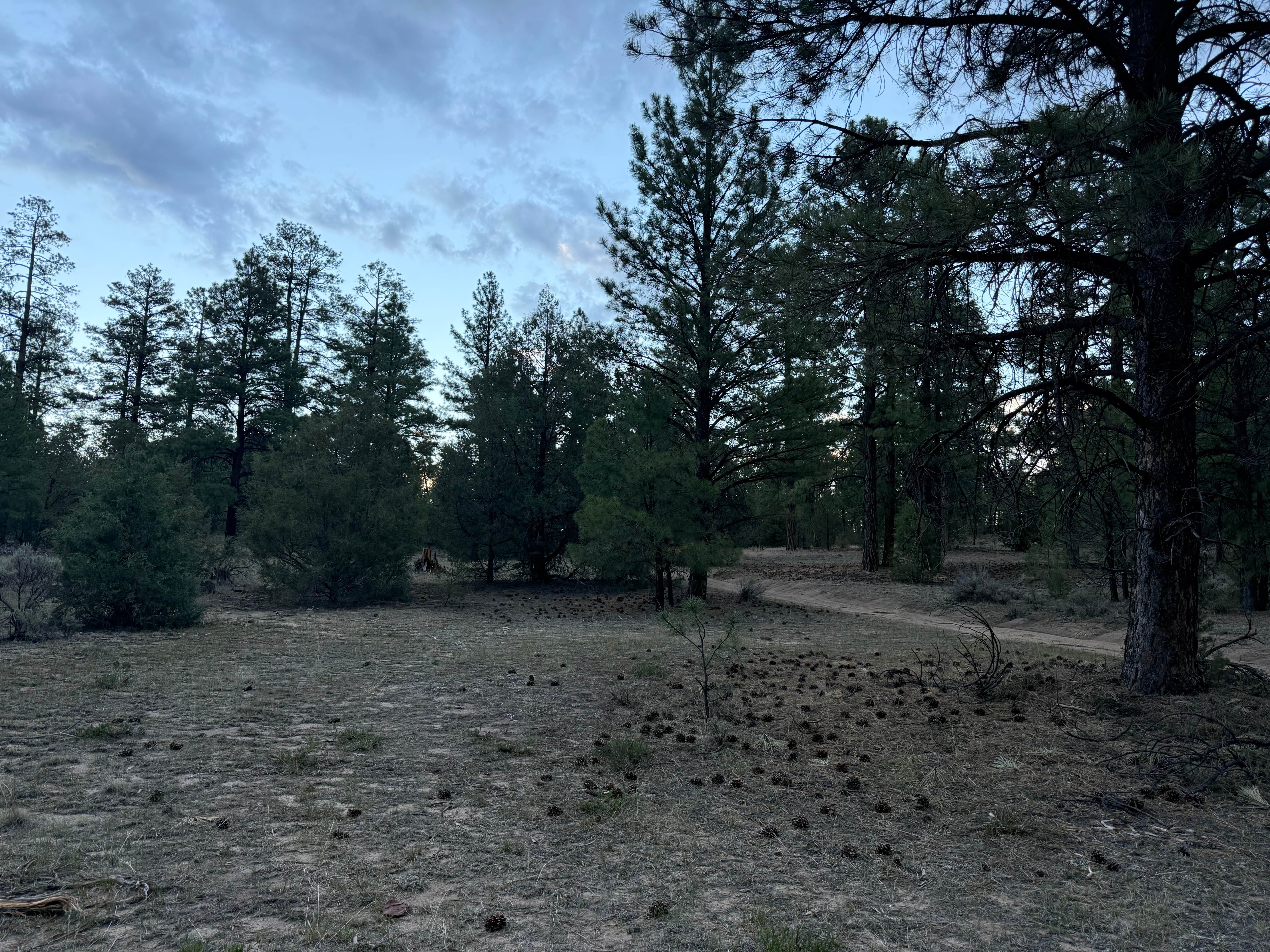 Camper-submitted photo at Cuba Hwy Pulloff on Forest Road 88 near Jemez Springs, NM