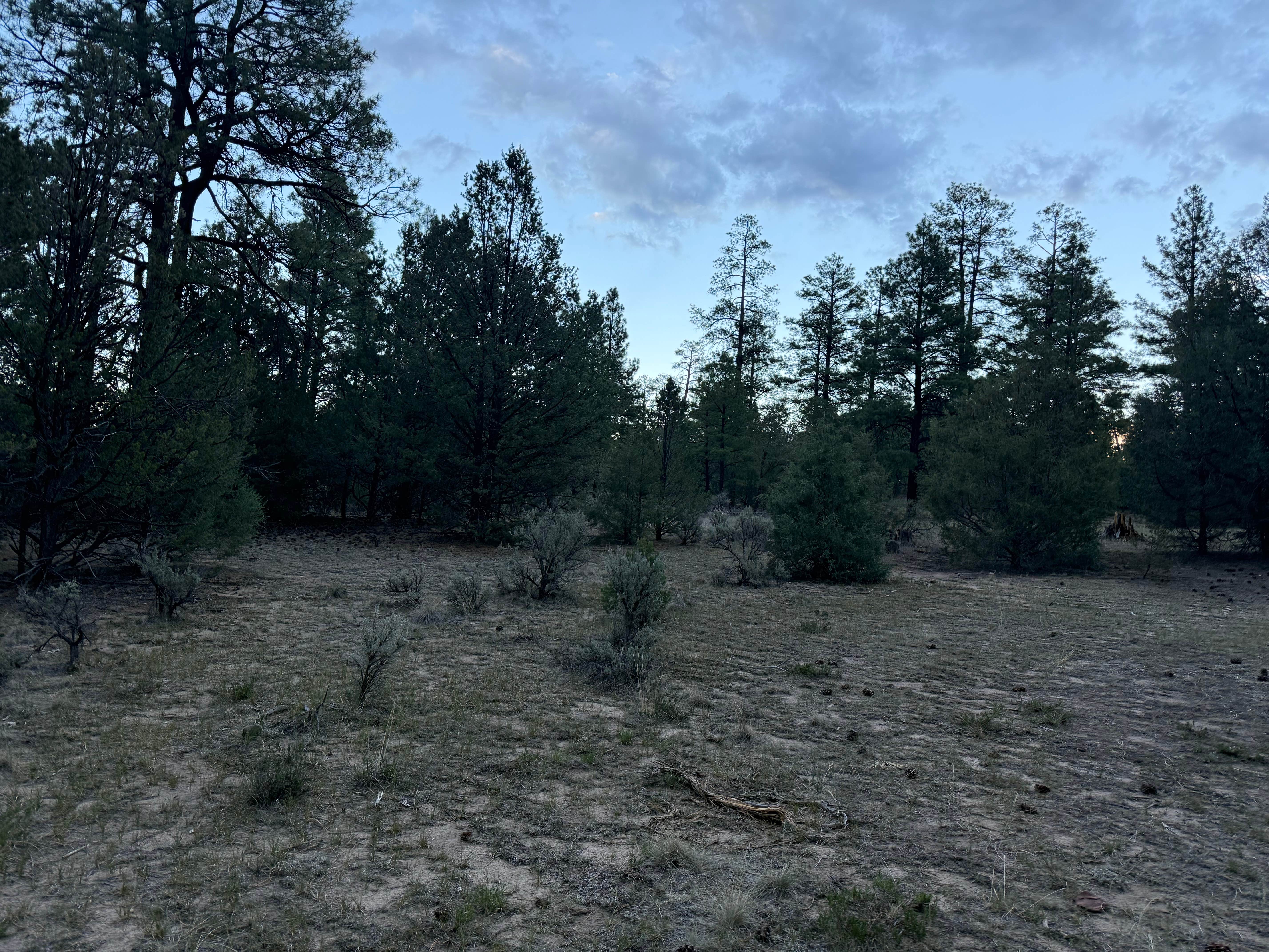 Camper-submitted photo at Cuba Hwy Pulloff on Forest Road 88 near Jemez Springs, NM