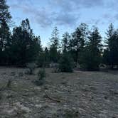 Review photo of Cuba Hwy Pulloff on Forest Road 88 by Maxfield J., June 16, 2026