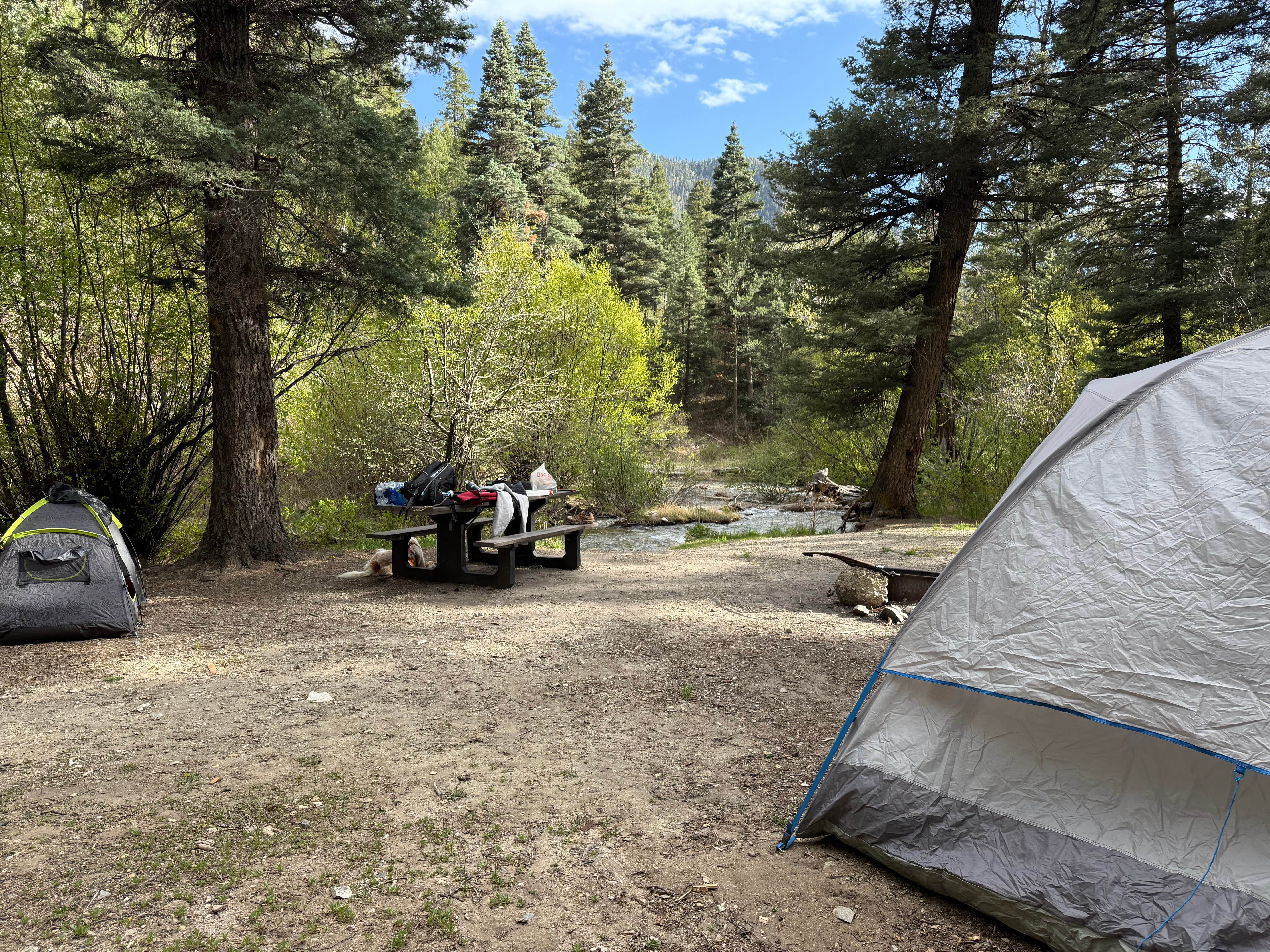 Camping near Lower Hondo Campground: Cuchilla Campground, Taos Ski Valley, New Mexico