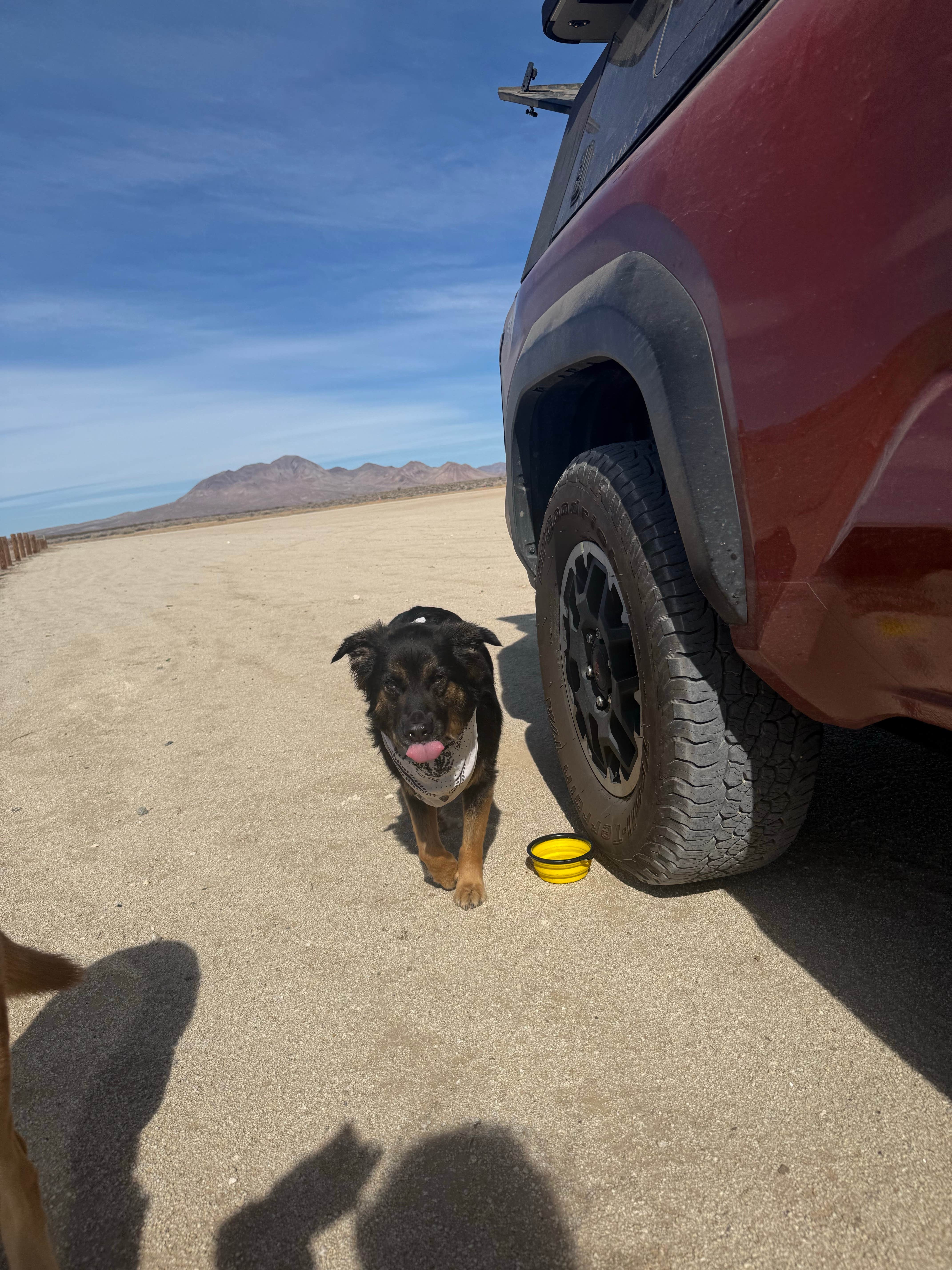 Camper-submitted photo at Cuddeback Road Dispersed Camping near Red Mountain, CA