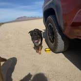 Review photo of Cuddeback Road Dispersed Camping by Anna R., October 30, 2025