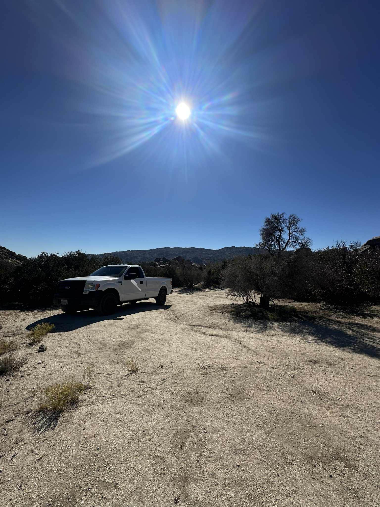 Camper submitted image from culp primitive campground - 1