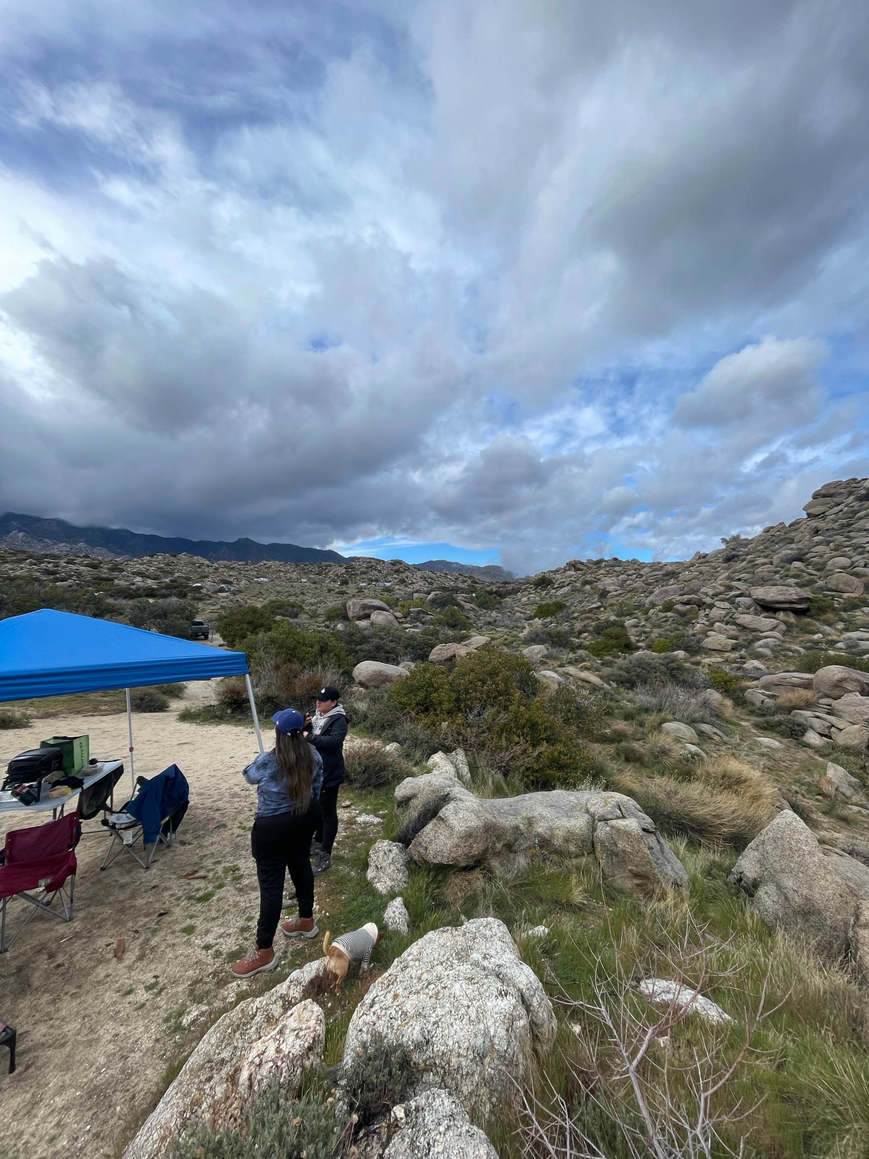 Samantha M.'s photo of camping with pets at Culp Valley Primitive Campground — Anza-Borrego Desert State Park near Ocotillo Wells, CA