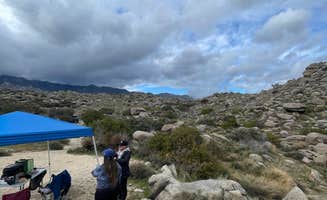 Samantha M.'s photo at Culp Valley Primitive Campground — Anza-Borrego Desert State Park near Borrego Springs, CA