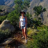 Review photo of Culp Valley Primitive Campground — Anza-Borrego Desert State Park by Celeste O., March 19, 2026