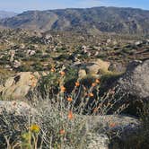 Review photo of Culp Valley Primitive Campground — Anza-Borrego Desert State Park by Celeste O., March 19, 2026