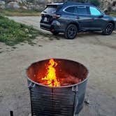 Review photo of Culp Valley Primitive Campground — Anza-Borrego Desert State Park by Celeste O., March 19, 2026