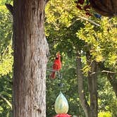 Review photo of Cummins Ferry RV Park, Campground on the Kentucky River by Raul C., August 23, 2026