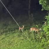 Review photo of Cummins Ferry RV Park, Campground on the Kentucky River by Raul C., August 23, 2026