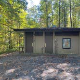 Review photo of Manor - Cunningham Falls State Park by Chelsea B., October 13, 2025