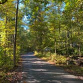 Review photo of Manor - Cunningham Falls State Park by Chelsea B., October 17, 2025