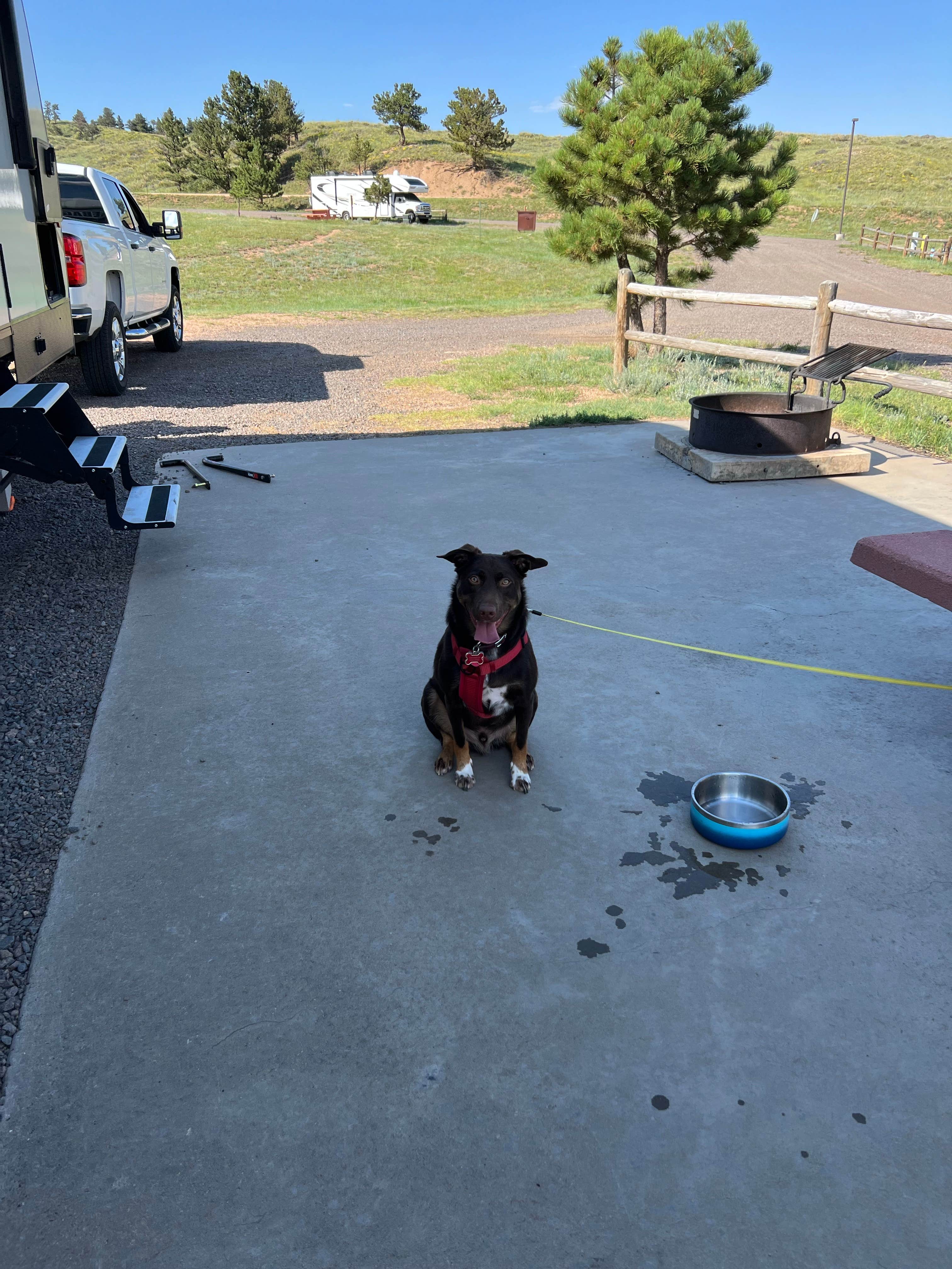 chellynn's photo of camping with pets at Curt Gowdy State Park Campground near Laramie, WY