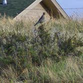 Review photo of Curt Gowdy State Park Campground by John T., May 20, 2026