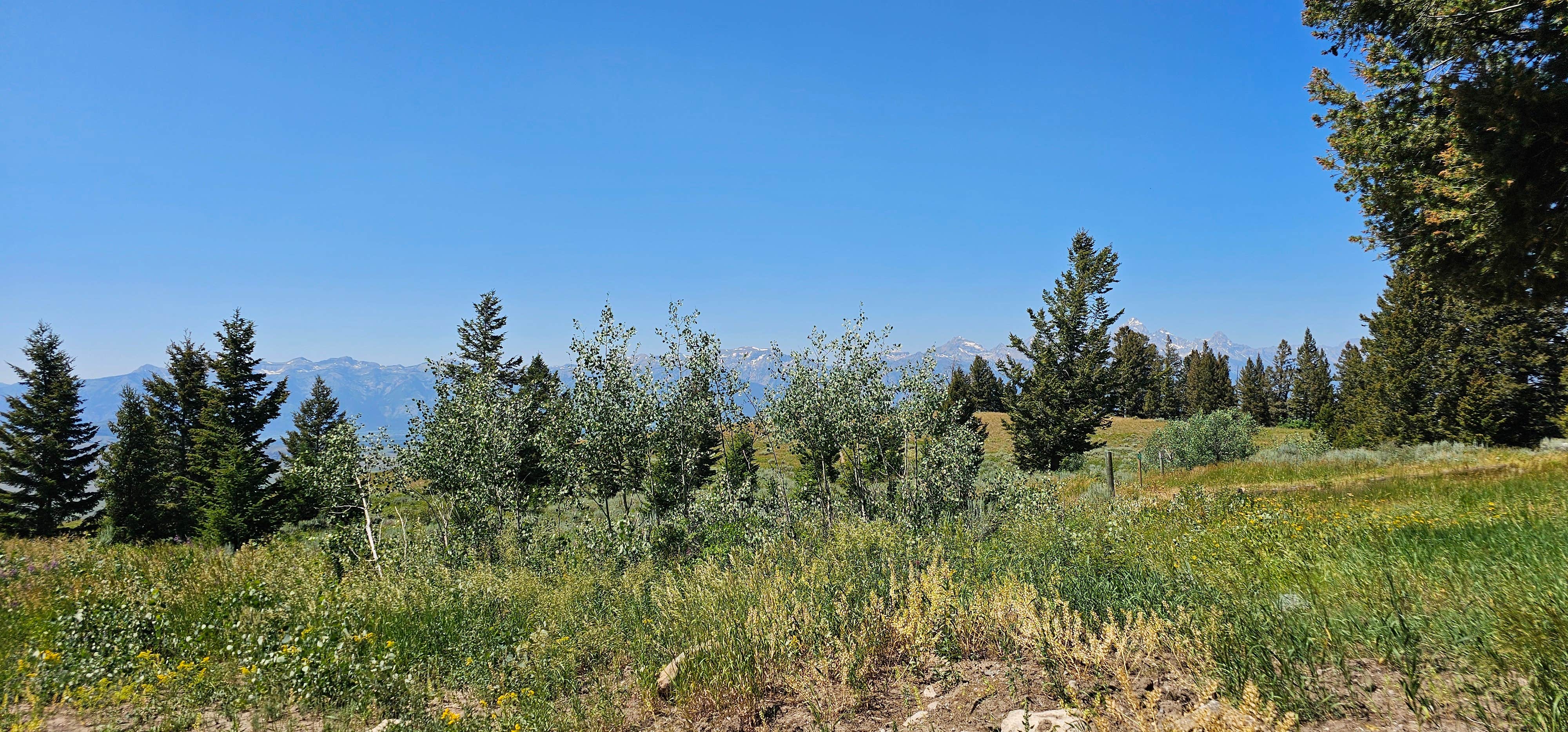Camping near Phillips Bench Trailhead: Curtis Canyon Campsites 1-4, Jackson, Wyoming
