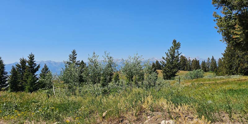 Camper submitted image from Curtis Canyon Campsites 1-4