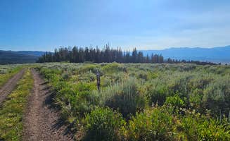 johny R.'s photo of a dispersed camping area at Curtis Canyon Campsites 15-16 near Wilson, WY