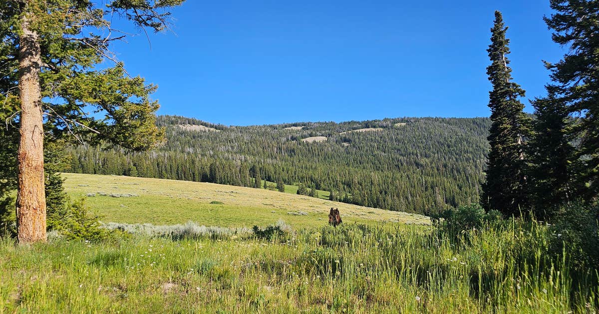Curtis Canyon Campsites 15-16