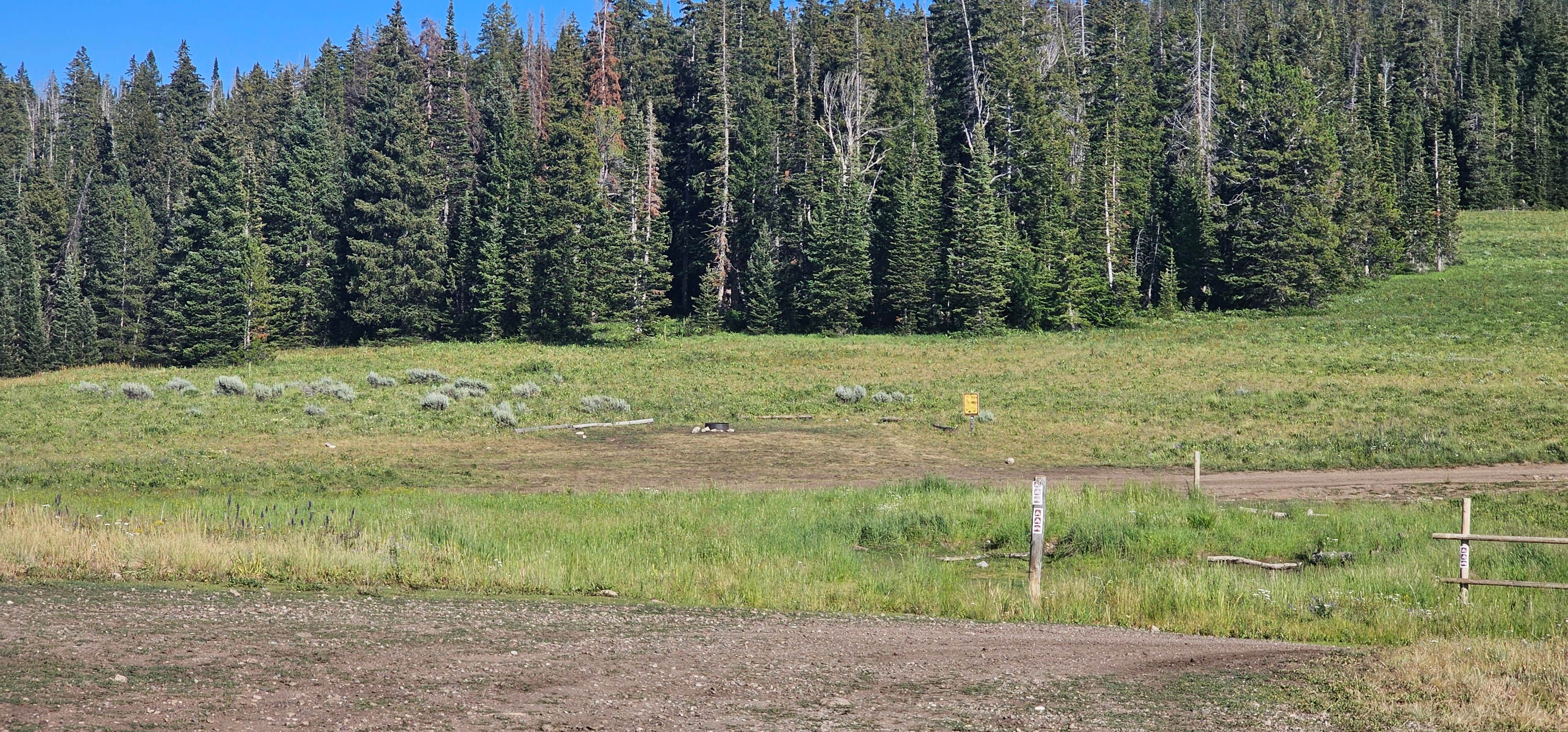 Camper submitted image from Curtis Canyon Campsites 15-16 - 5