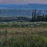 Review photo of Curtis Canyon Campsites 15-16 by johny R., July 17, 2025