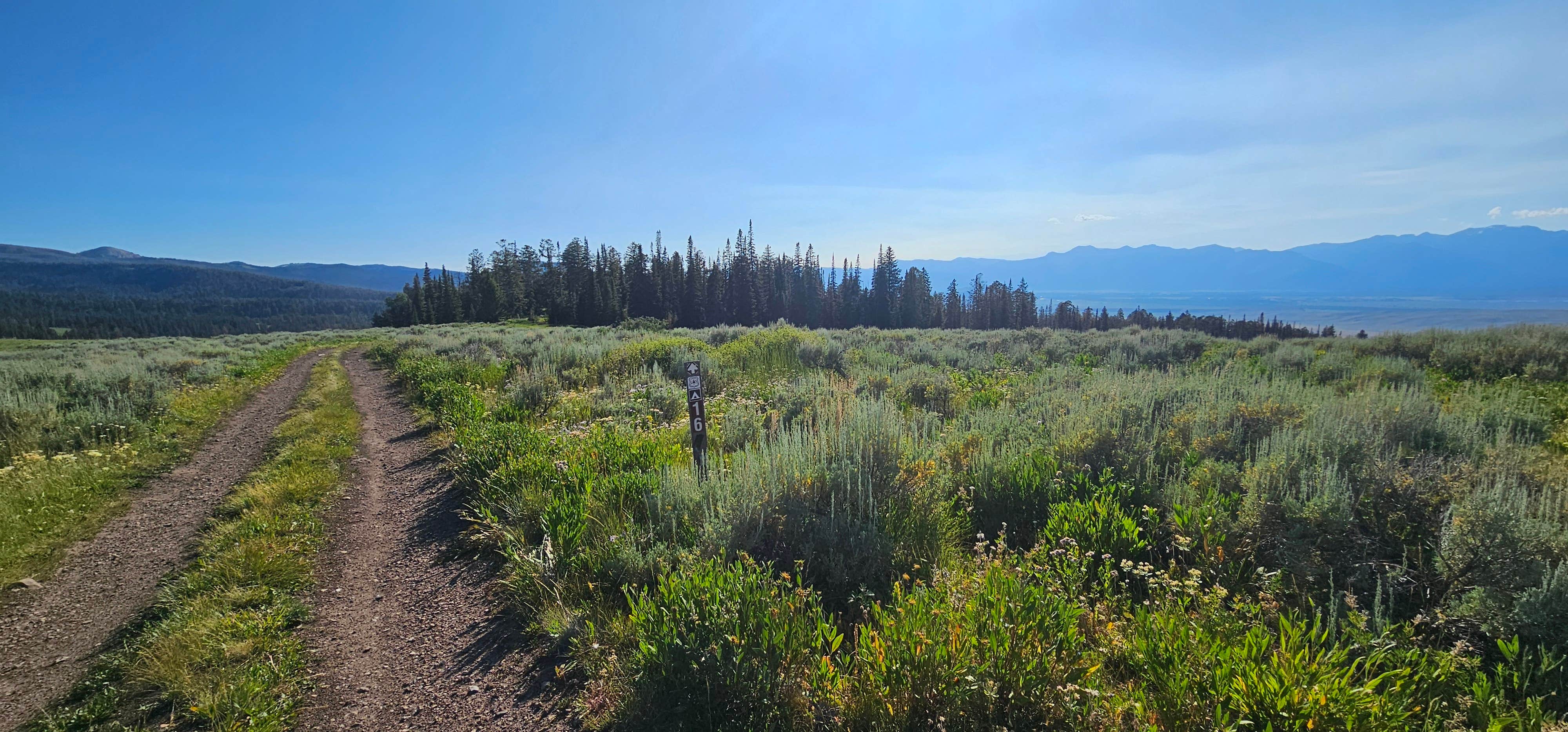 Camper submitted image from Curtis Canyon Campsites 15-16 - 3