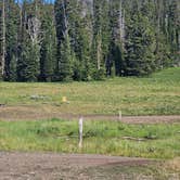 Review photo of Curtis Canyon Campsites 15-16 by johny R., July 17, 2025
