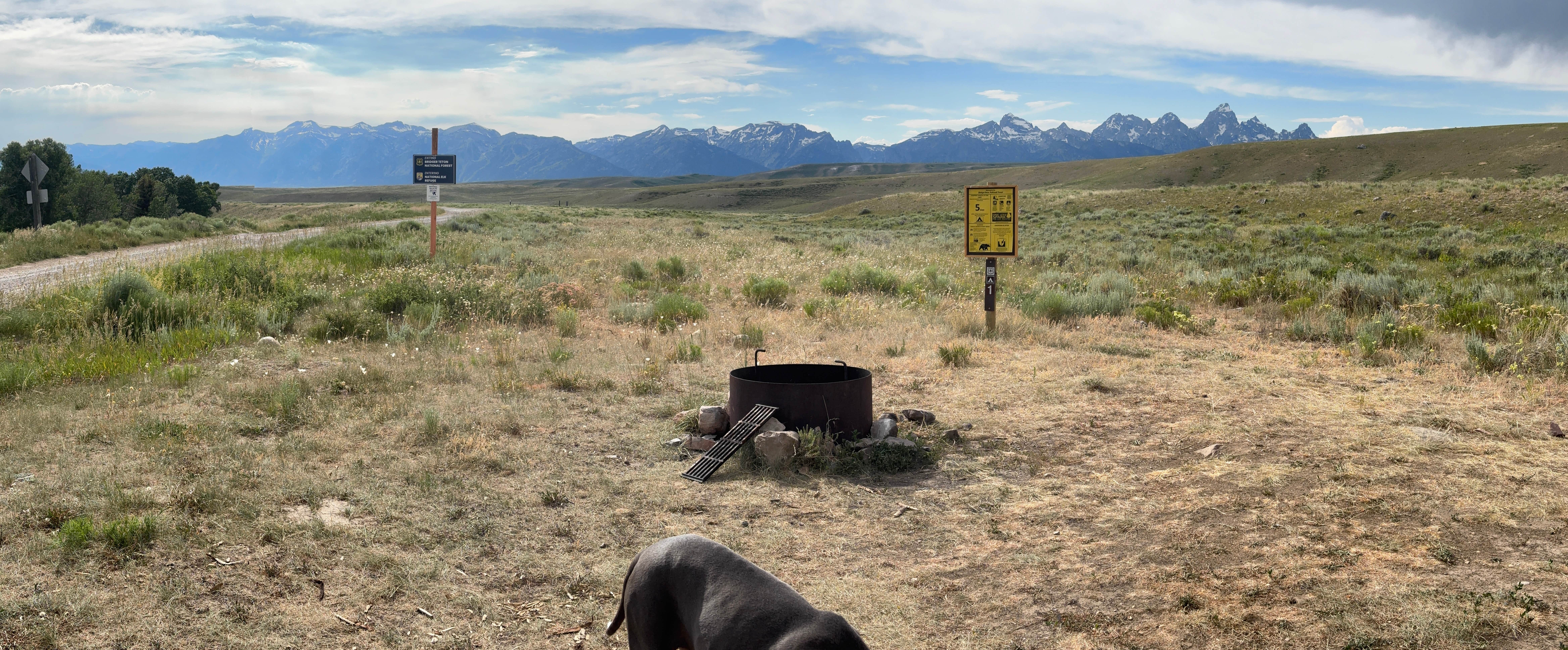 Jeff P.'s photo of camping with pets at Curtis Canyon Dispersed Camping near Jackson, WY